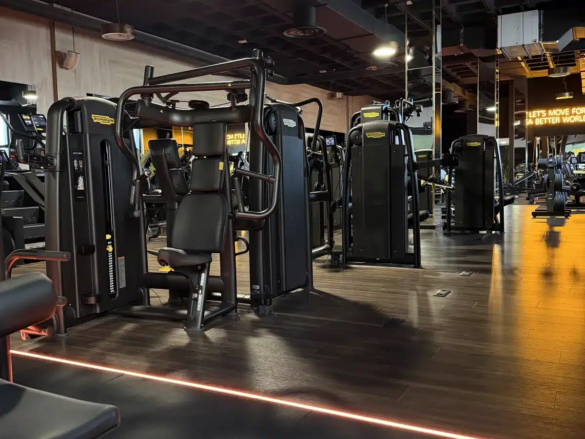 Máquinas de musculación Technogym en BodyLine