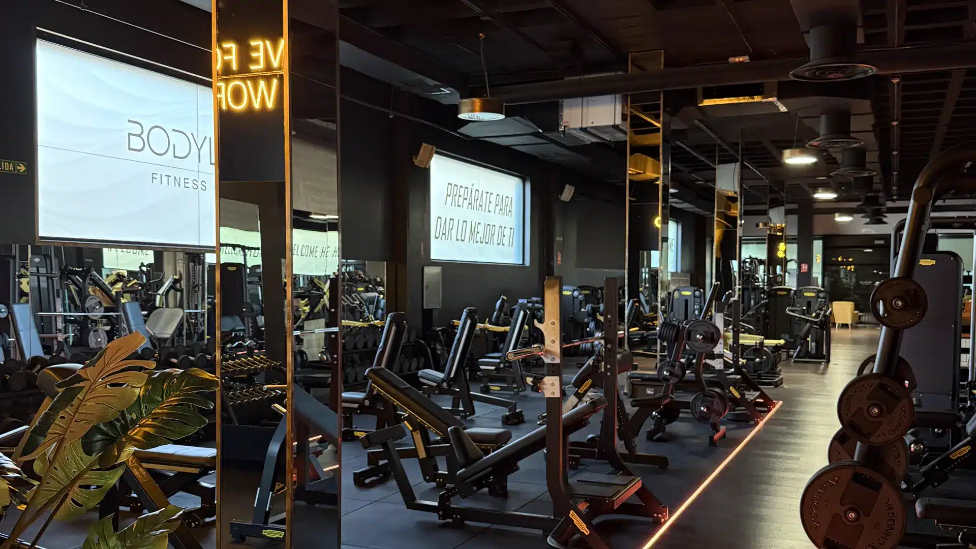 BodyLine Fitness Club, gimnasio en Playa de las Américas